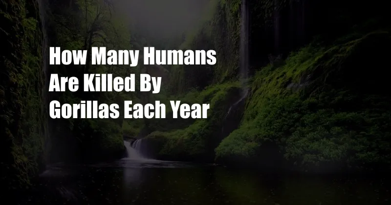 How Many Humans Are Killed By Gorillas Each Year