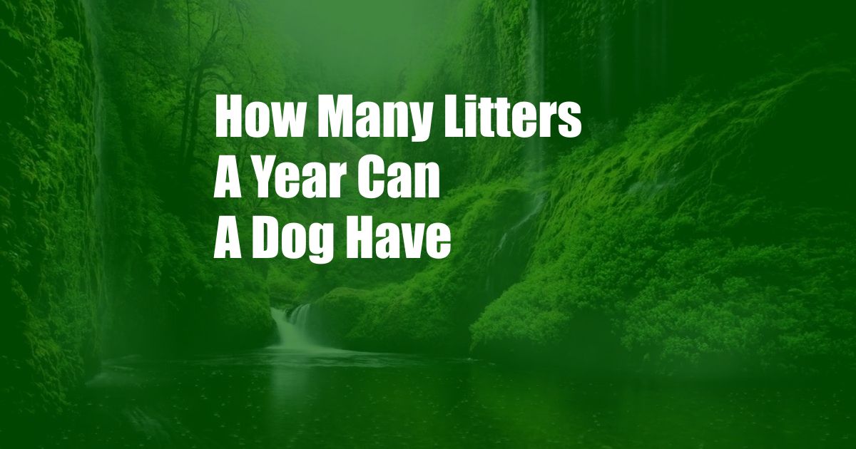 How Many Litters A Year Can A Dog Have