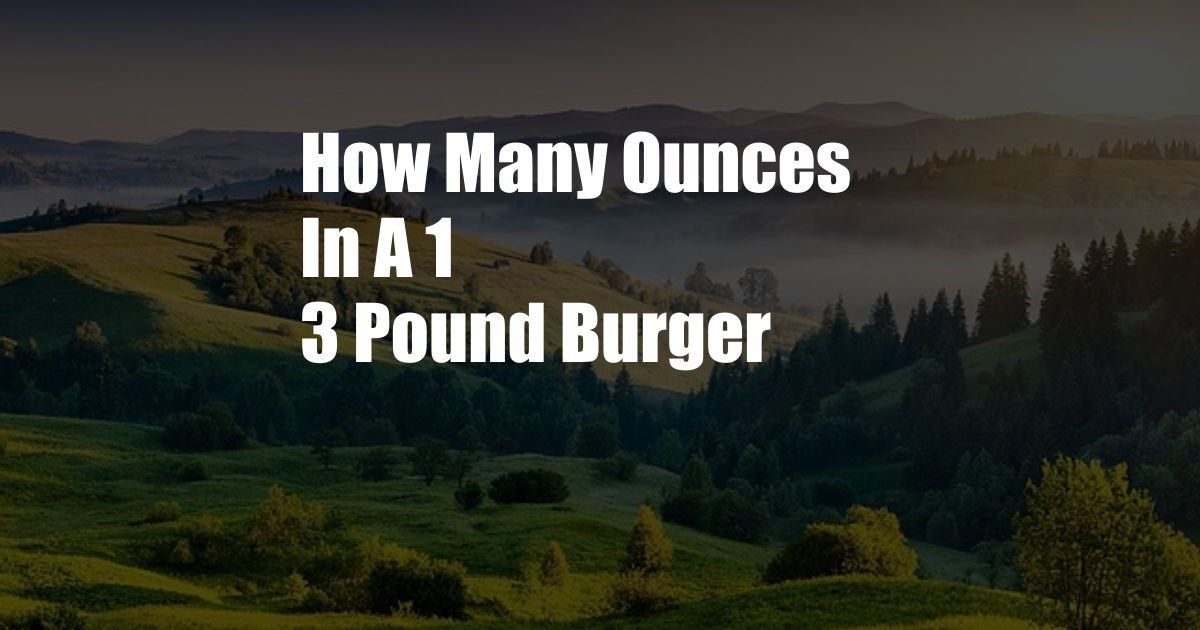 How Many Ounces In A 1 3 Pound Burger