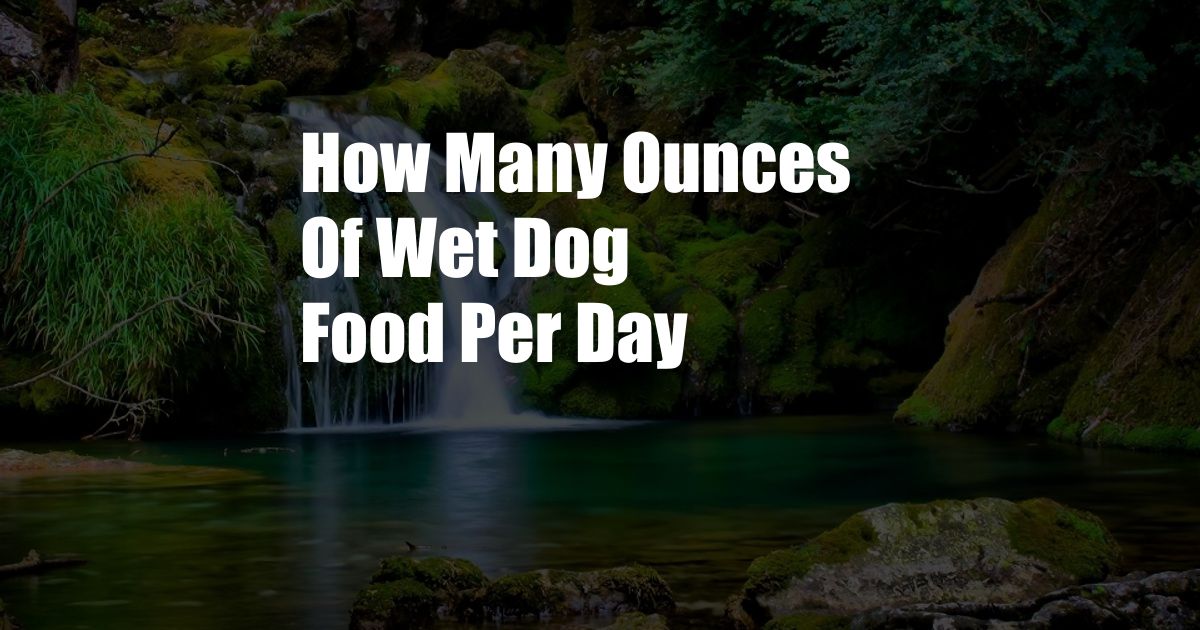 How Many Ounces Of Wet Dog Food Per Day