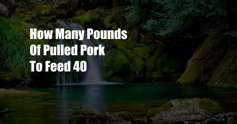 How Many Pounds Of Pulled Pork To Feed 40