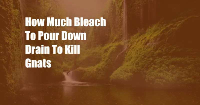 How Much Bleach To Pour Down Drain To Kill Gnats