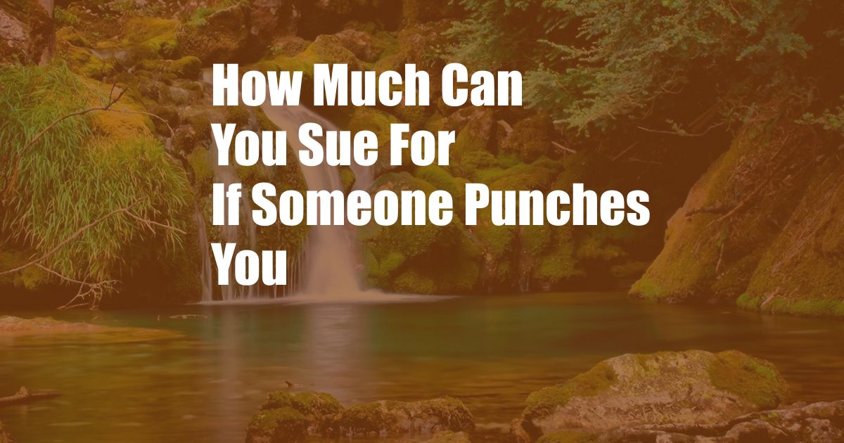 How Much Can You Sue For If Someone Punches You