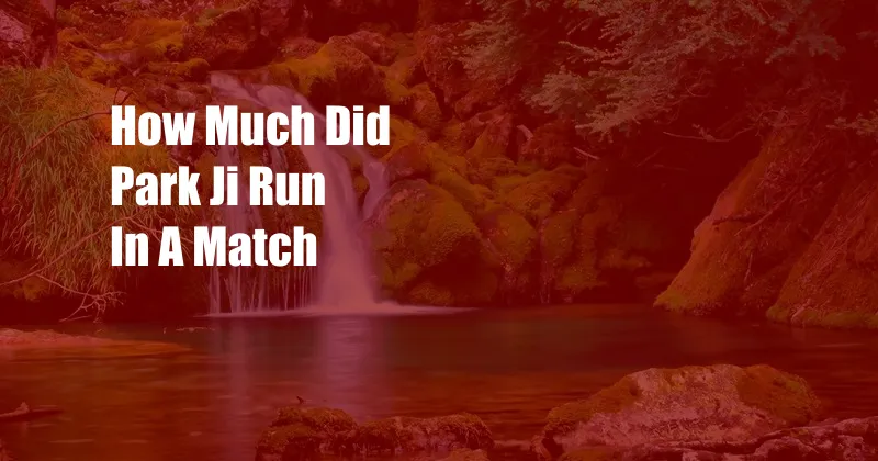 How Much Did Park Ji Run In A Match