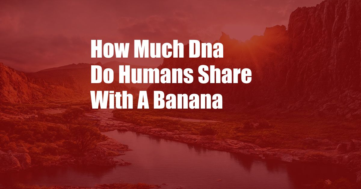 How Much Dna Do Humans Share With A Banana