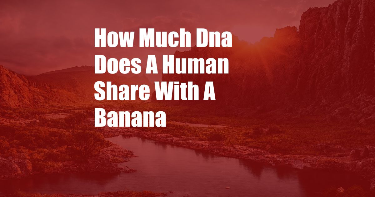 How Much Dna Does A Human Share With A Banana