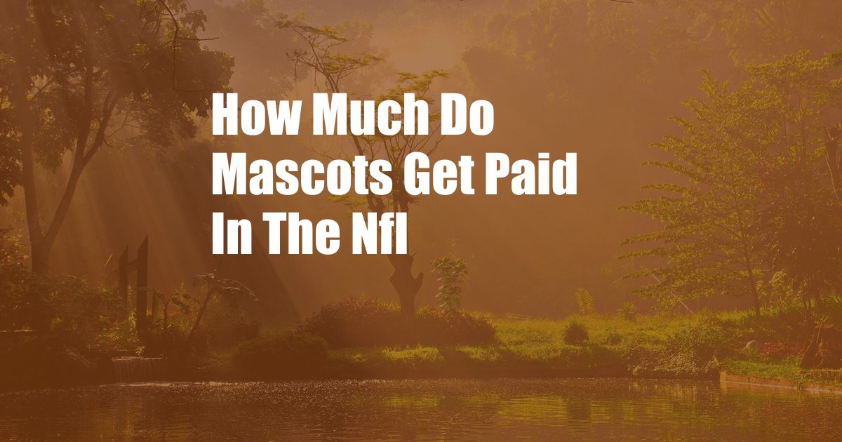 How Much Do Mascots Get Paid In The Nfl