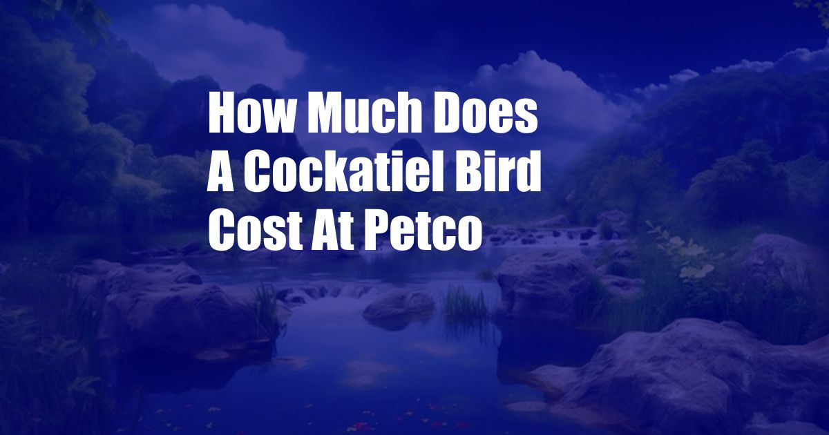 How Much Does A Cockatiel Bird Cost At Petco