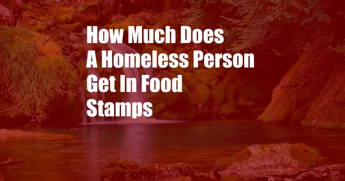 How Much Does A Homeless Person Get In Food Stamps