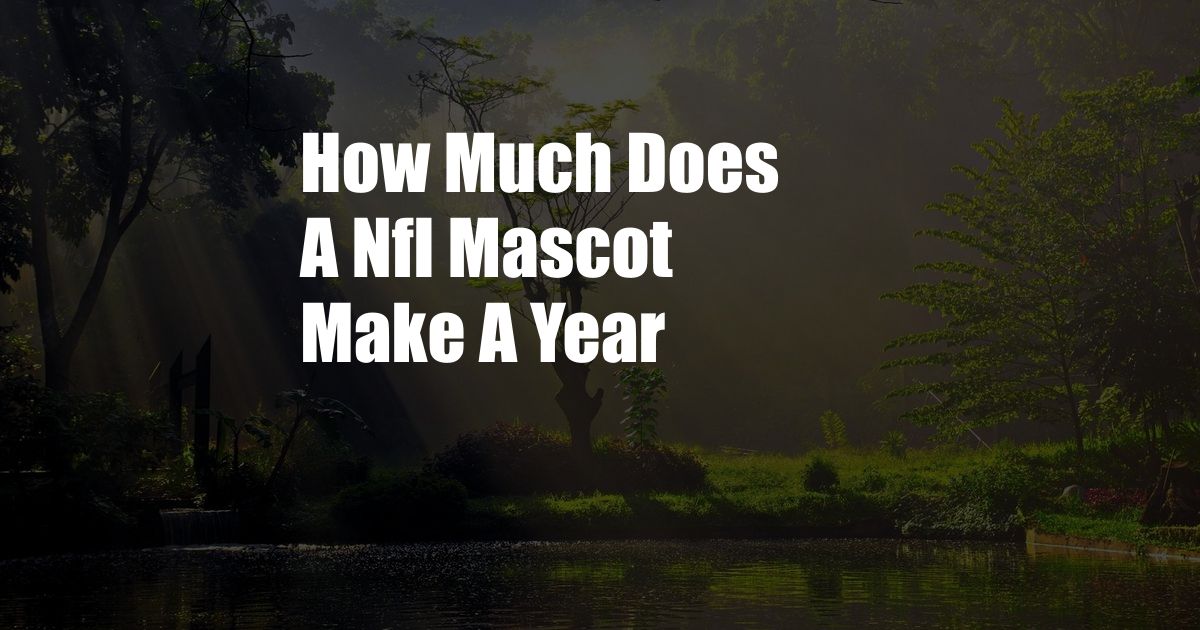 How Much Does A Nfl Mascot Make A Year