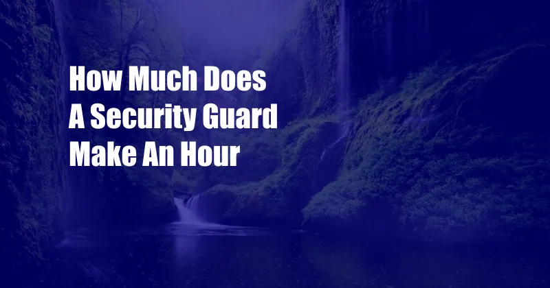 How Much Does A Security Guard Make An Hour