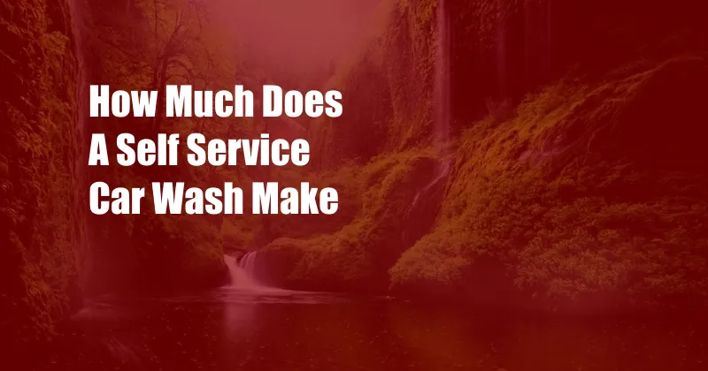How Much Does A Self Service Car Wash Make