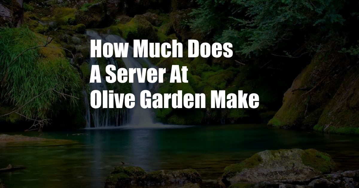 How Much Does A Server At Olive Garden Make