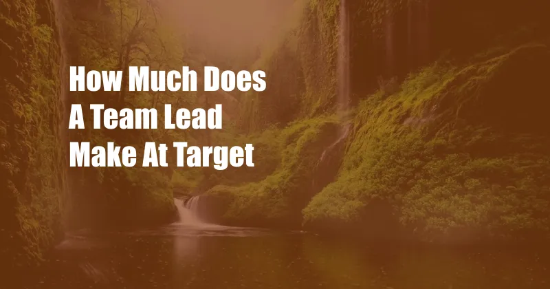 How Much Does A Team Lead Make At Target