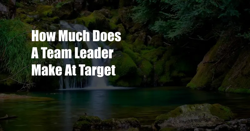 How Much Does A Team Leader Make At Target