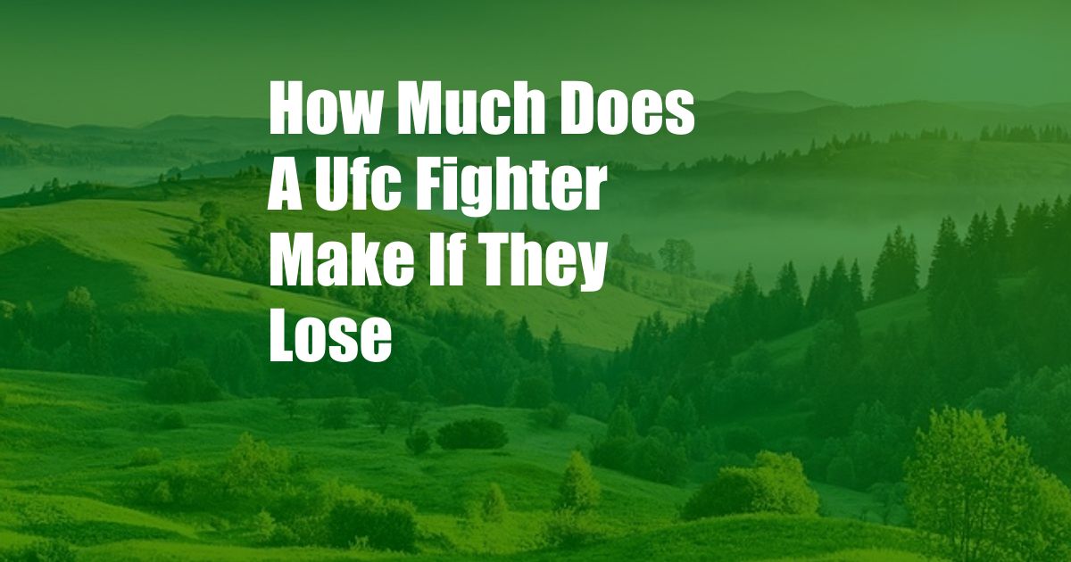 How Much Does A Ufc Fighter Make If They Lose