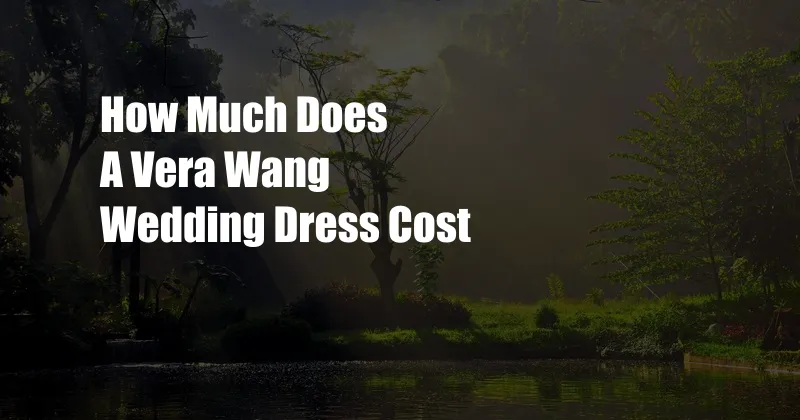 How Much Does A Vera Wang Wedding Dress Cost