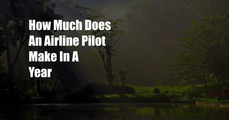 How Much Does An Airline Pilot Make In A Year
