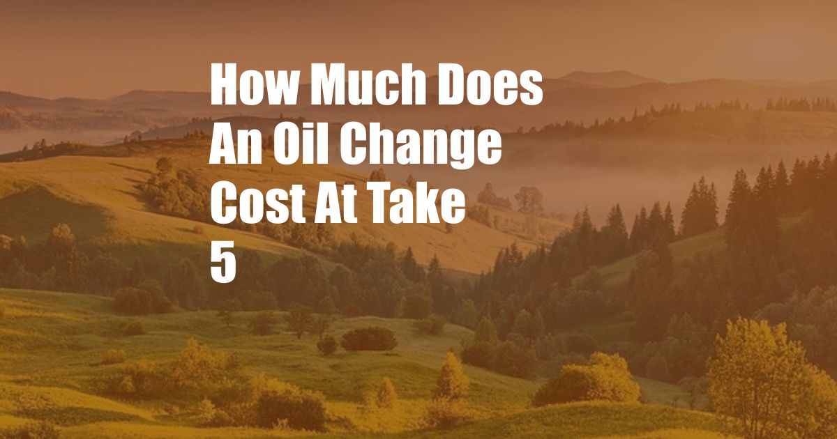 How Much Does An Oil Change Cost At Take 5