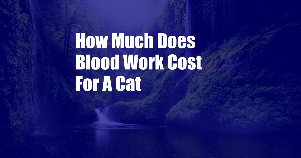 How Much Does Blood Work Cost For A Cat