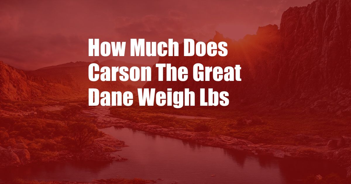 How Much Does Carson The Great Dane Weigh Lbs