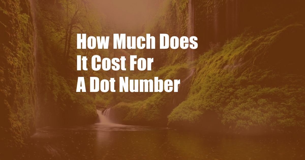 How Much Does It Cost For A Dot Number