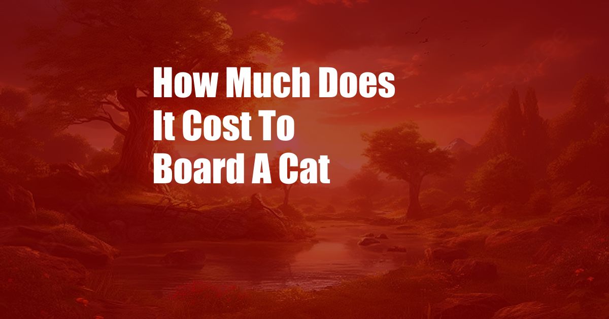 How Much Does It Cost To Board A Cat
