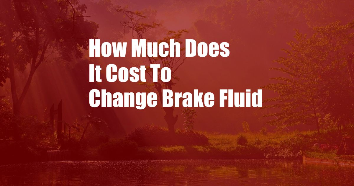 How Much Does It Cost To Change Brake Fluid