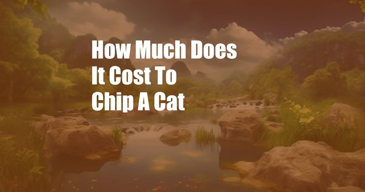 How Much Does It Cost To Chip A Cat