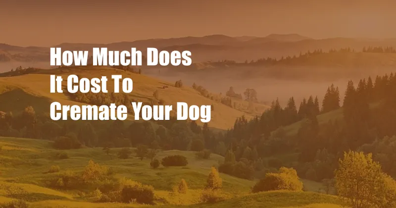 How Much Does It Cost To Cremate Your Dog