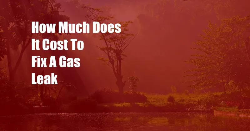 How Much Does It Cost To Fix A Gas Leak