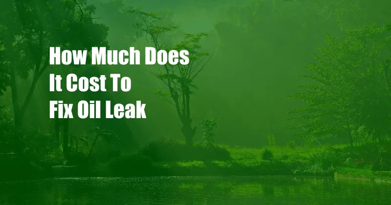 How Much Does It Cost To Fix Oil Leak