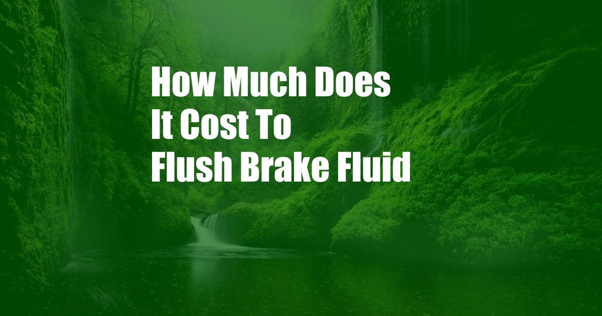 How Much Does It Cost To Flush Brake Fluid