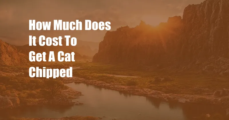 How Much Does It Cost To Get A Cat Chipped