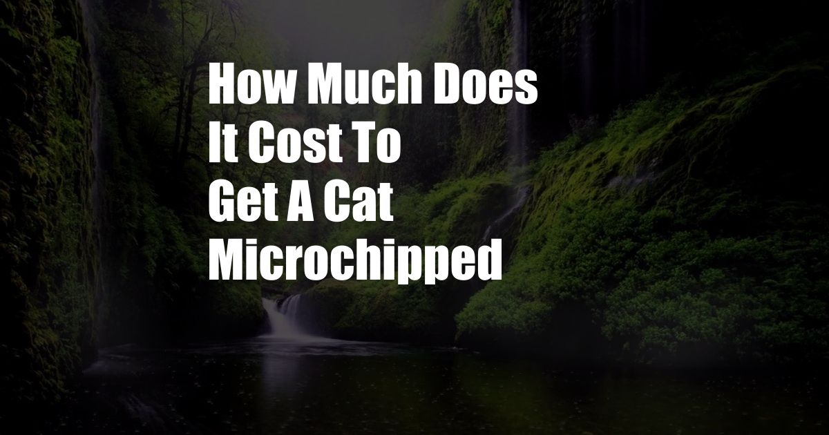 How Much Does It Cost To Get A Cat Microchipped