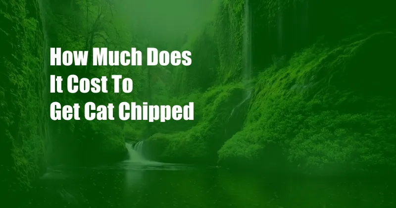 How Much Does It Cost To Get Cat Chipped