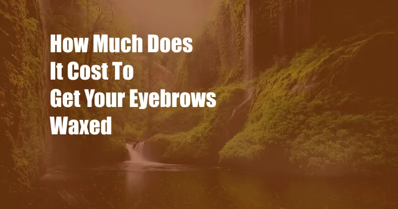 How Much Does It Cost To Get Your Eyebrows Waxed