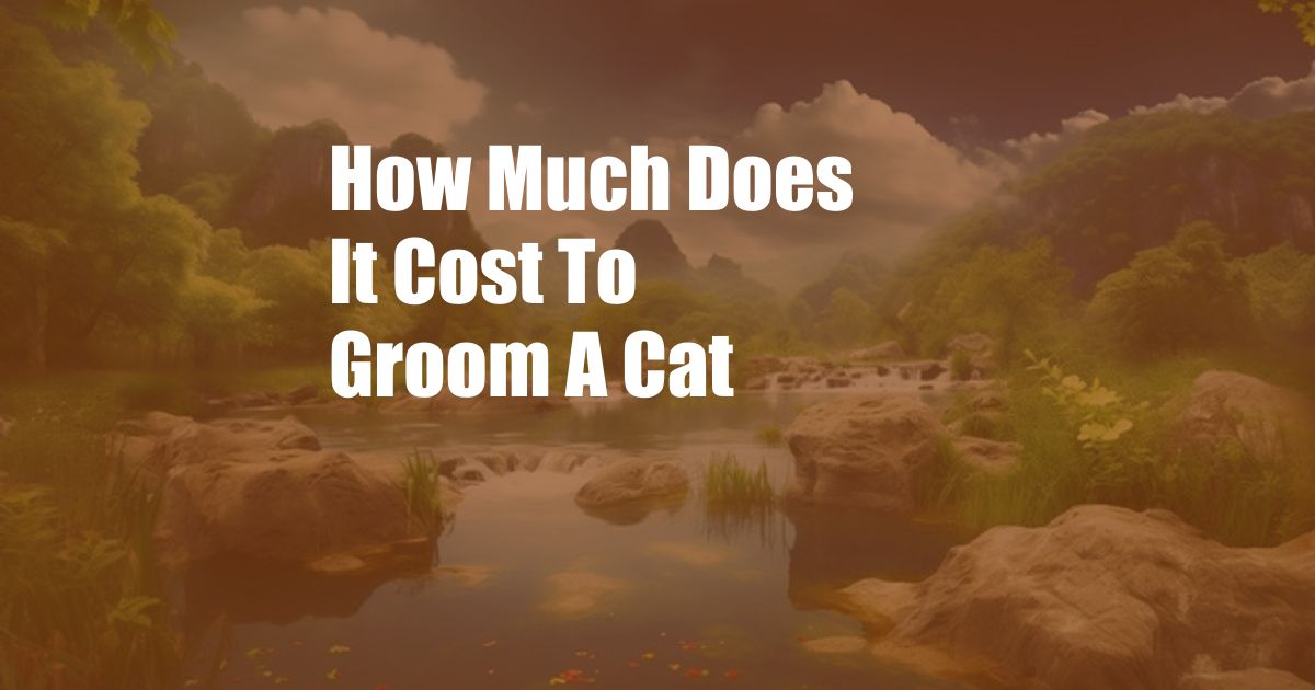 How Much Does It Cost To Groom A Cat