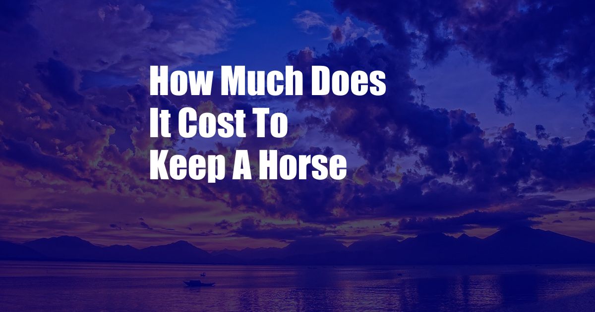 How Much Does It Cost To Keep A Horse