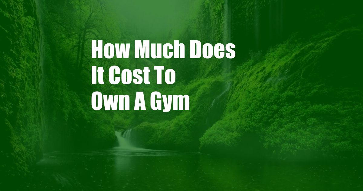 How Much Does It Cost To Own A Gym