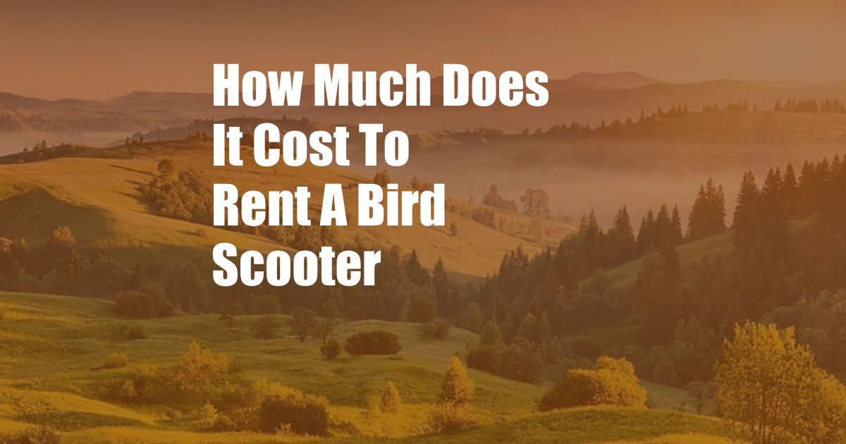 How Much Does It Cost To Rent A Bird Scooter