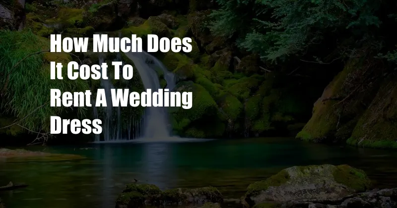 How Much Does It Cost To Rent A Wedding Dress
