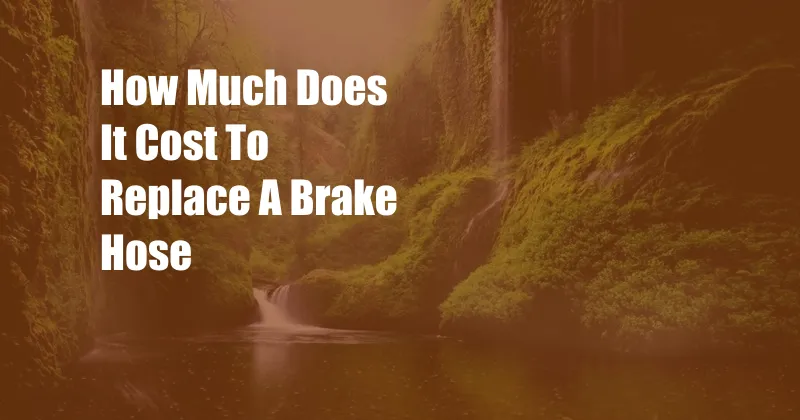 How Much Does It Cost To Replace A Brake Hose