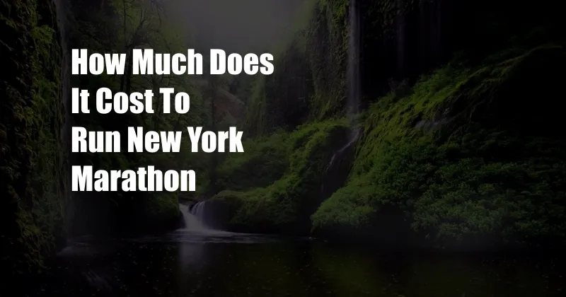 How Much Does It Cost To Run New York Marathon