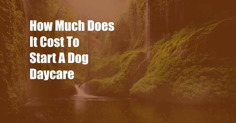 How Much Does It Cost To Start A Dog Daycare