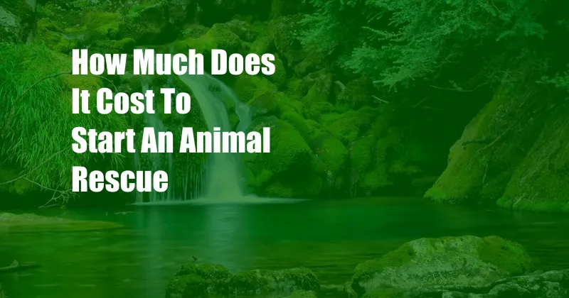 How Much Does It Cost To Start An Animal Rescue