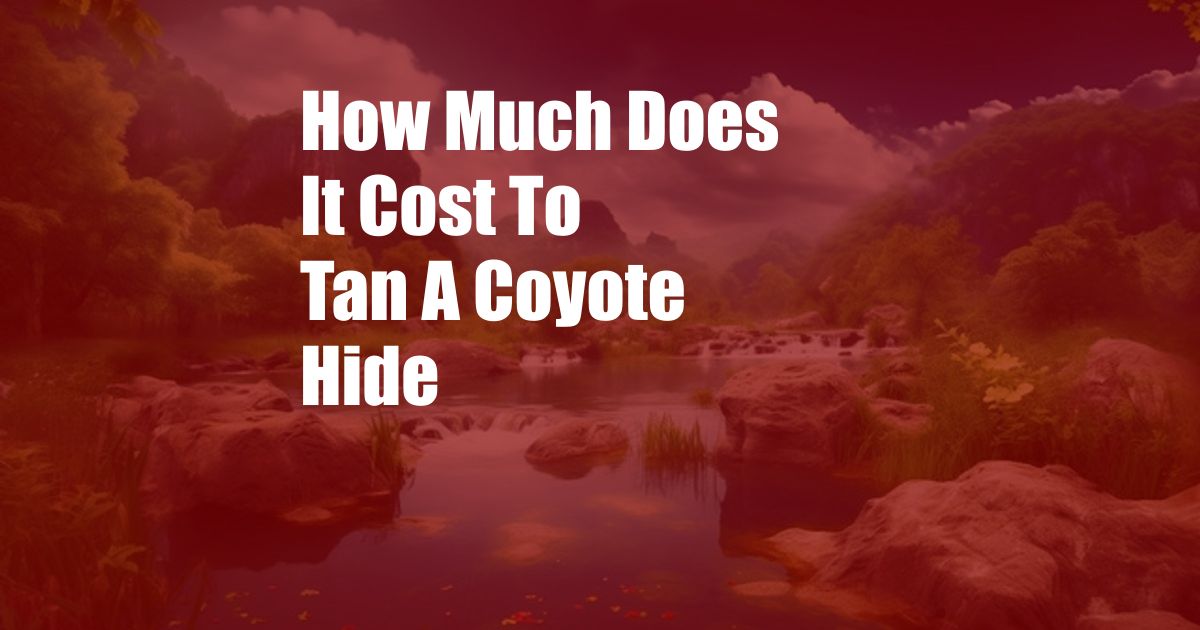 How Much Does It Cost To Tan A Coyote Hide