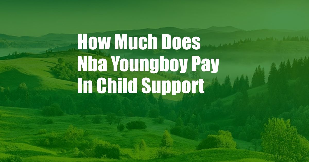 How Much Does Nba Youngboy Pay In Child Support