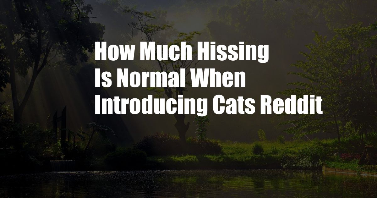 How Much Hissing Is Normal When Introducing Cats Reddit