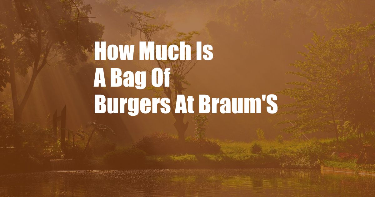 How Much Is A Bag Of Burgers At Braum'S